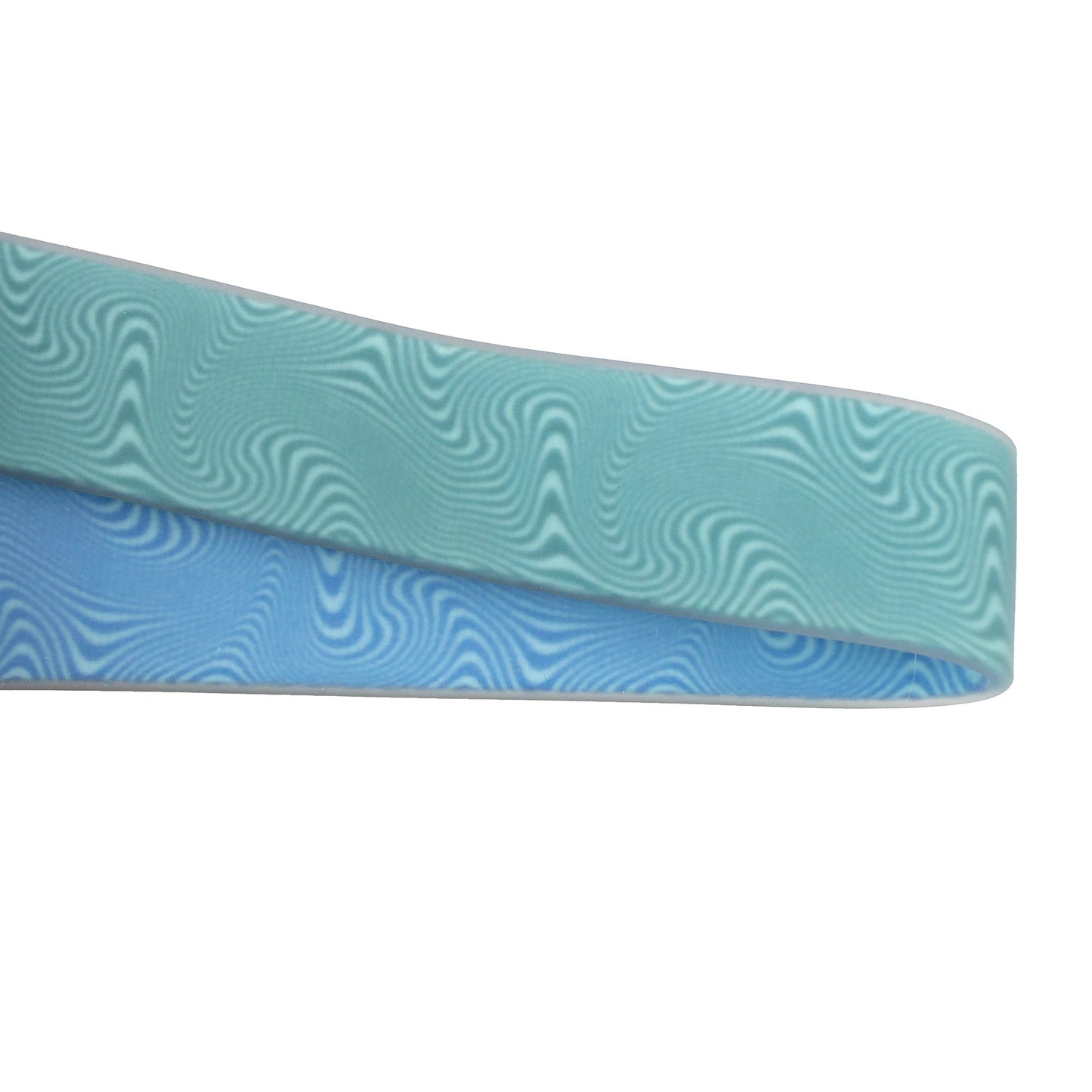 Beach Walk Convertible Pet Leash - Teal