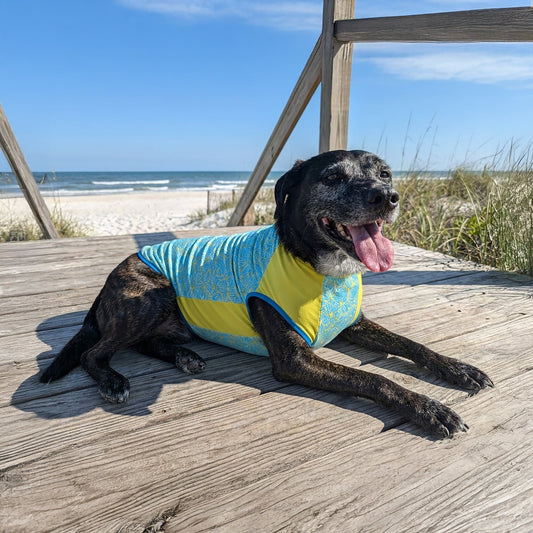 Crystal Cool Pet Cooling Shirt - Blue