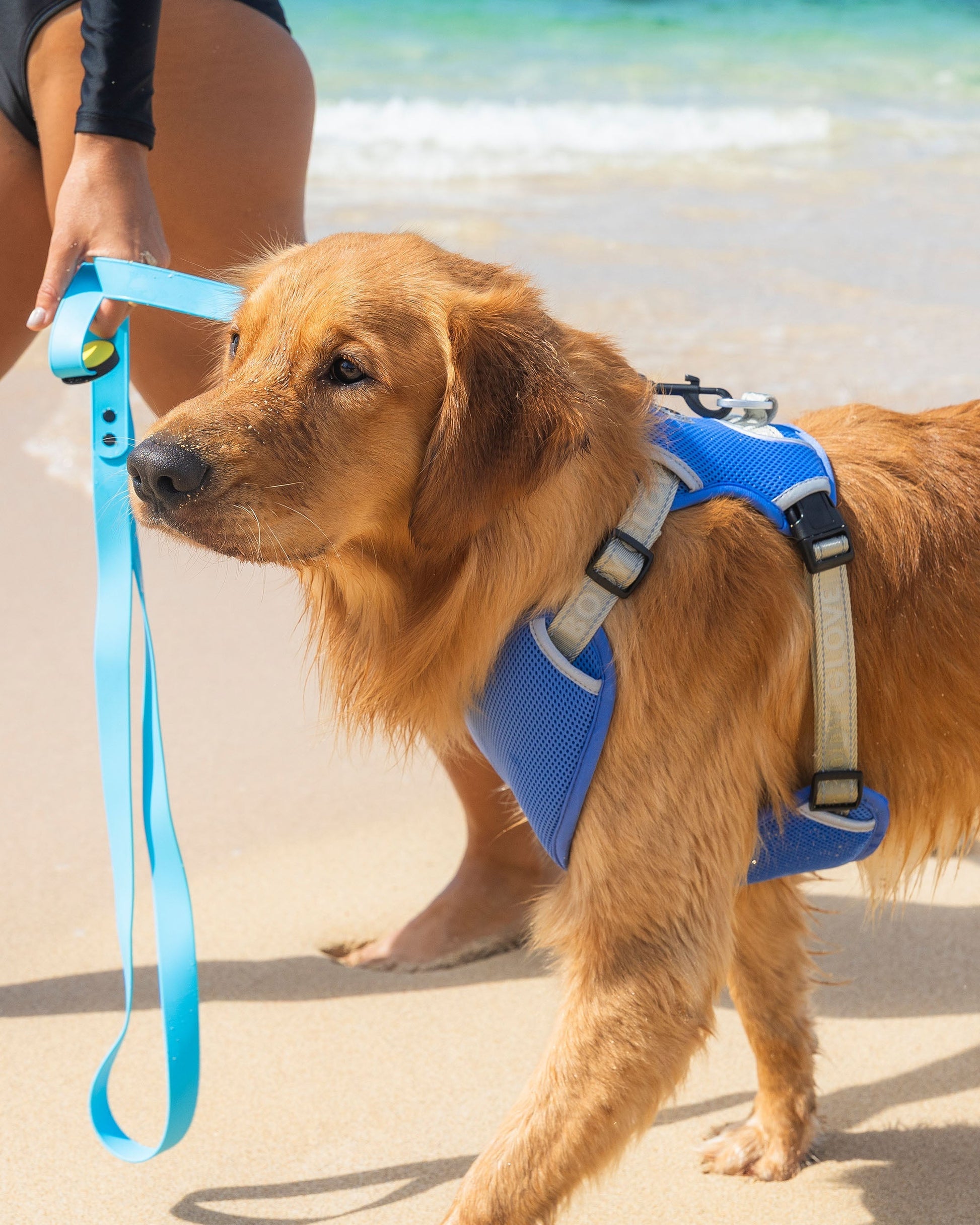 Cooling Harness - Blue