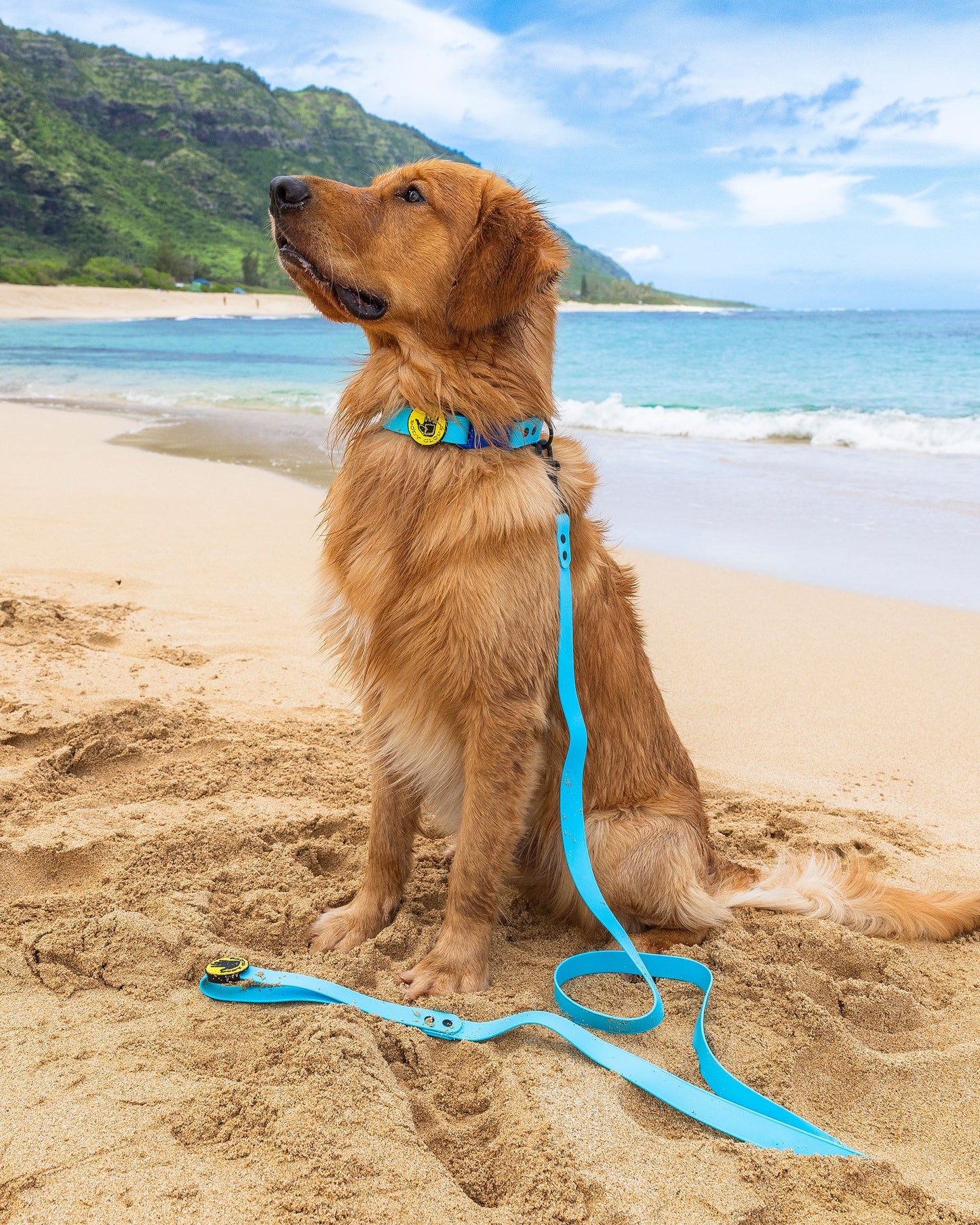 Waterproof Collar - Teal