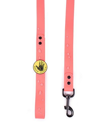 Waterproof Leash - Sunset