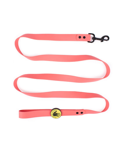 Waterproof Leash - Sunset